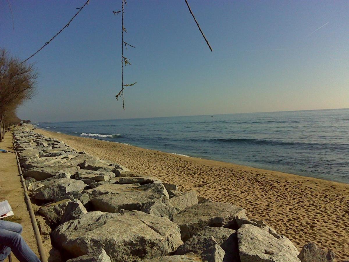 Tata'S House, Junto Playa Y Barcelona Centro Apartment Masnou Ngoại thất bức ảnh